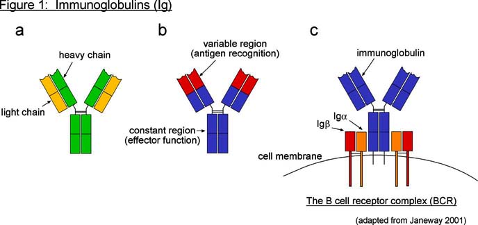 Article image: ei figure001