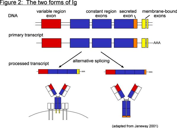 Article image: ei figure002