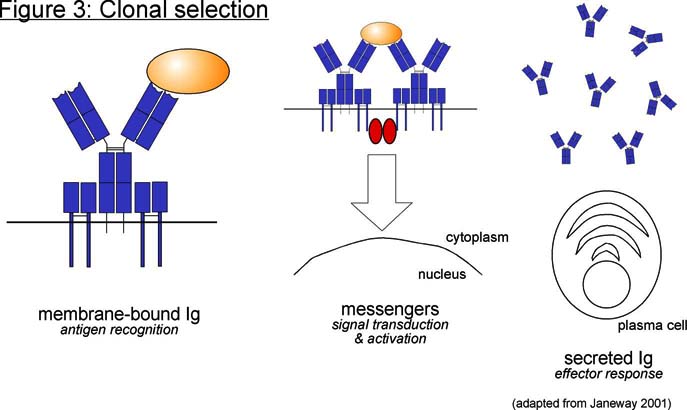 Article image: ei figure003