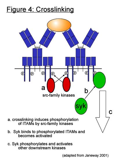 Article image: ei figure004