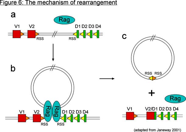 Article image: ei figure006