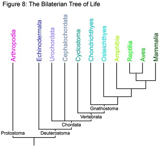 Article image: ei figure008