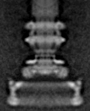 Article image: fig1