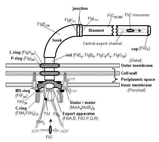 Article image: fig2