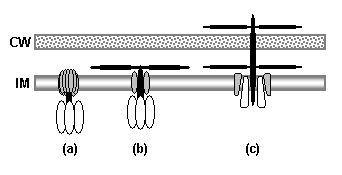 Article image: fig3