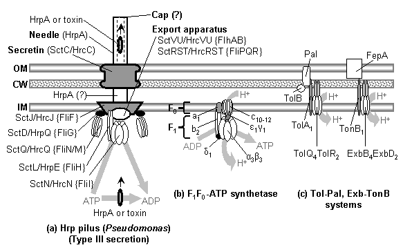 Article image: fig4