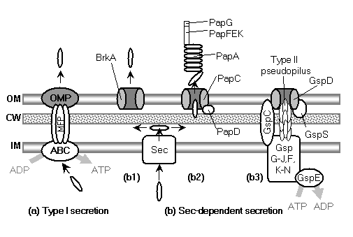 Article image: fig5pt1