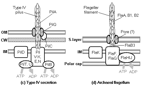 Article image: fig5pt2