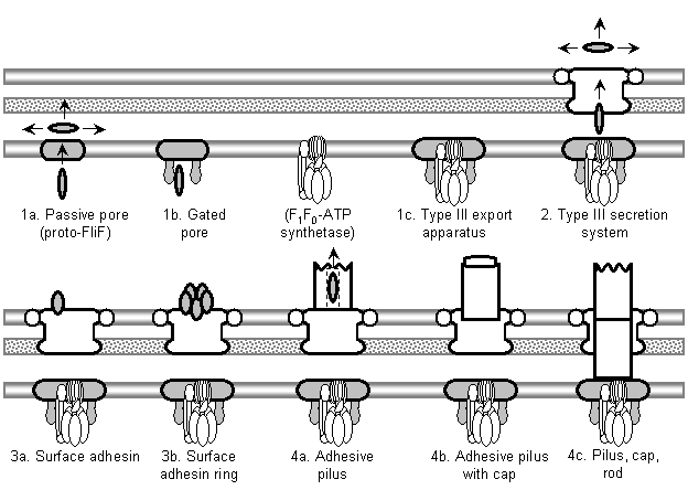 Article image: fig7pt1