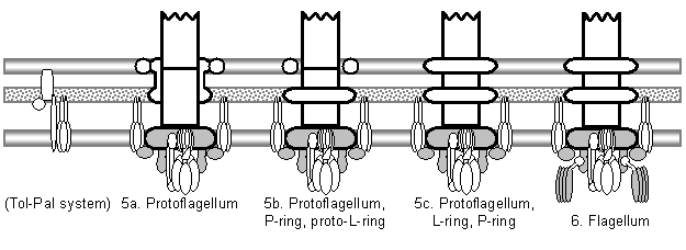Article image: fig7pt2