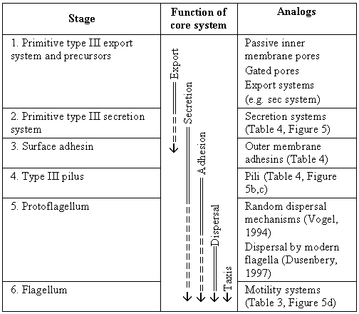 Article image: table6